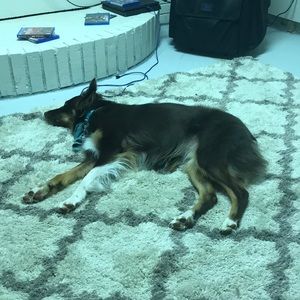 Meet your Posher, Candace